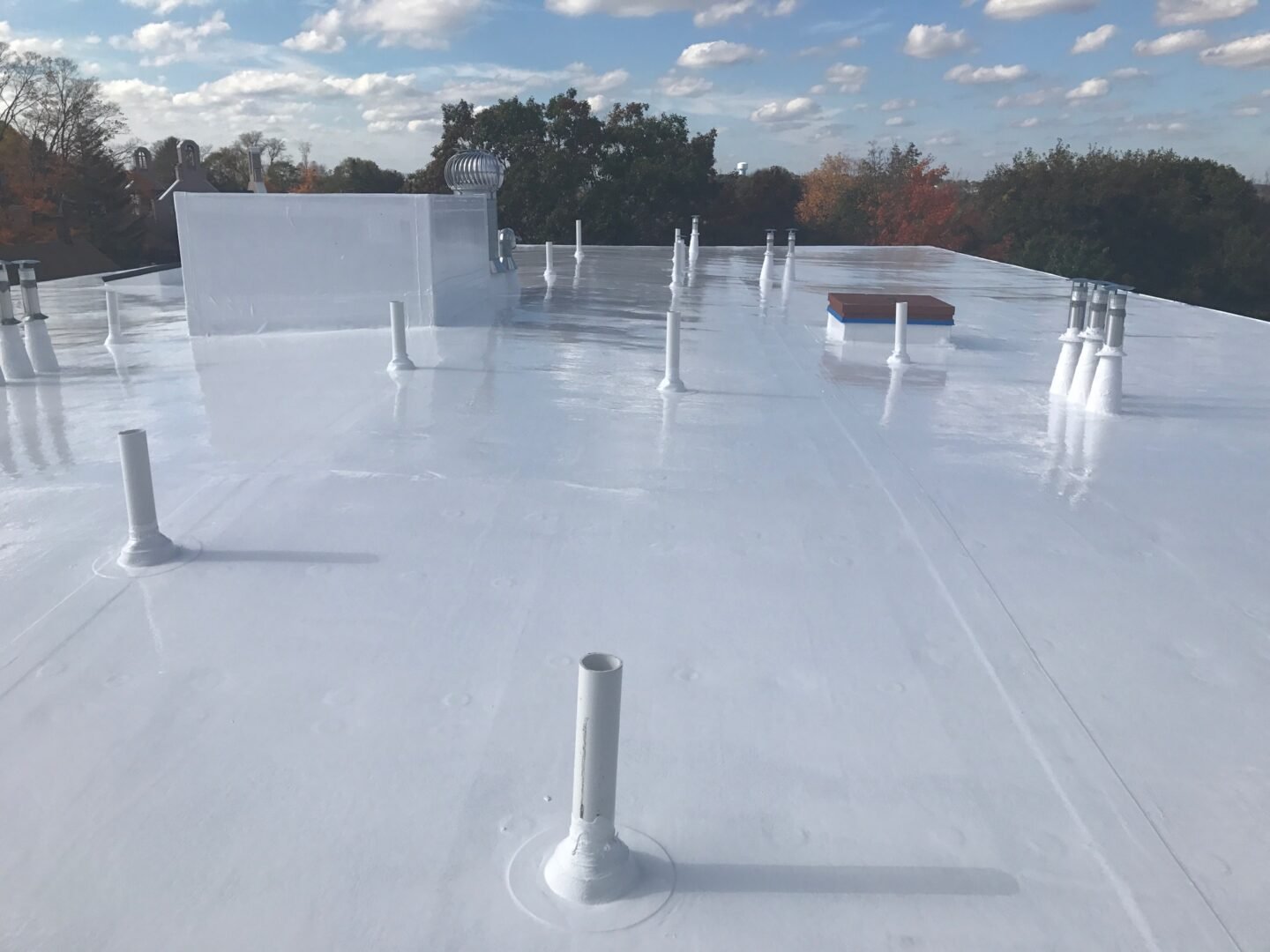 Roof Coating